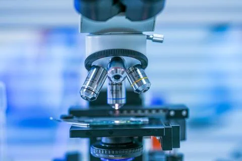 Bright blue chemical solution in conical laboratory flasks arranged in a mo.. Foto stock
