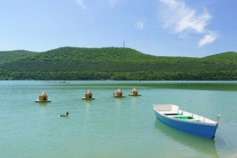 Bright blue empty rowing boat and duck houses on the green water of the mount Stock-Fotos