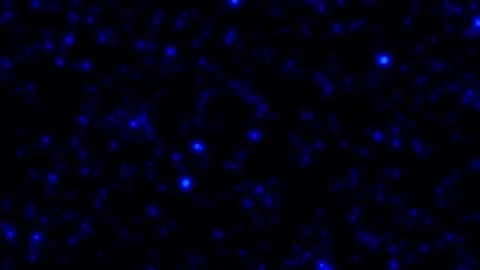 Bright blue glowing particles floating on black background Vídeo Stock 321434245