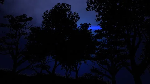 Bright blue light passes in the night sky Stock Footage 56330414