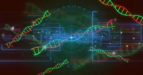 Bright blue node pulsing circuits, spawning helix strands orbiting scale showing Stock Footage 317459747