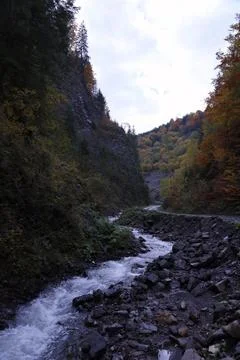 A bright blue river flowing through forest as the sun begins to set in a hi.. Stock-Fotos