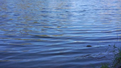 Bright blue river with small waves and light reflection Stock Footage 130368112