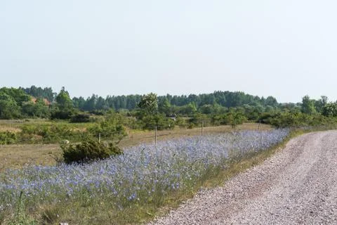 Bright blue roadside Stock Photos