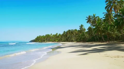 Bright blue sea waves on a sandy wild beach.  Stock Footage 170155684