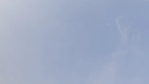 Bright blue sky background providing a clear, natural atmosphere. It evokes 動画素材 343153406