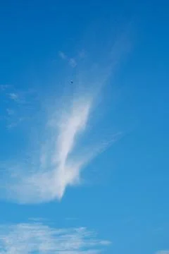 Bright blue sky with cirrus clouds and one flying seagull in distance, vertical Stock Photos