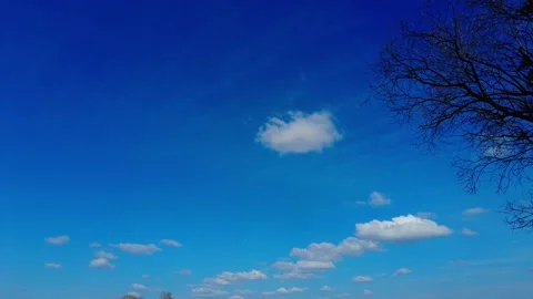 Bright blue sky with clouds above a tree during daytime in a clear setting Stock Footage 333440183