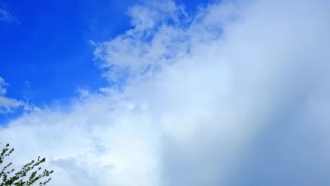 A bright blue sky filled with large, soft, and fluffy white cumulus clouds Stock Footage 343574151