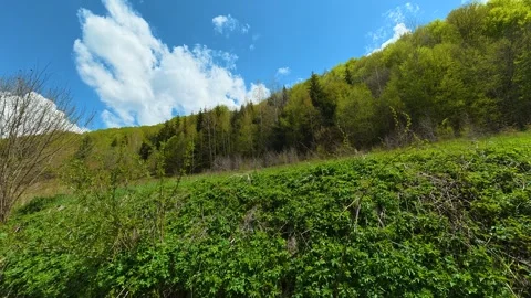 Bright blue sky with fluffy white clouds above. Near Tupavica Waterfall Vídeos de archivo 335531059
