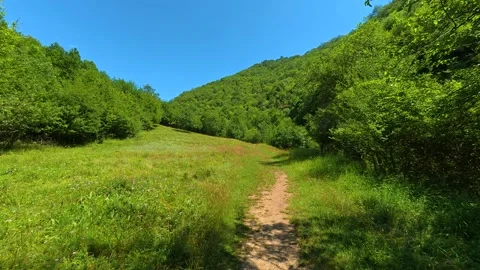 Bright blue sky frames verdant. Gradasnica River Canyon, Serbia 库存影片 342320428