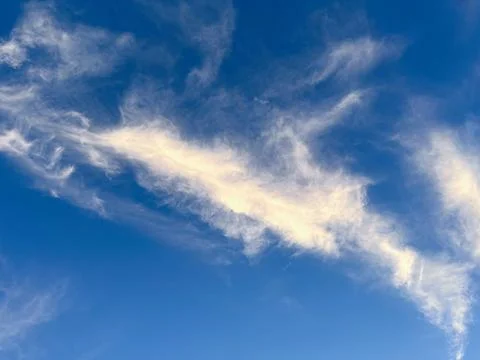 Bright blue sky. Stock Photos