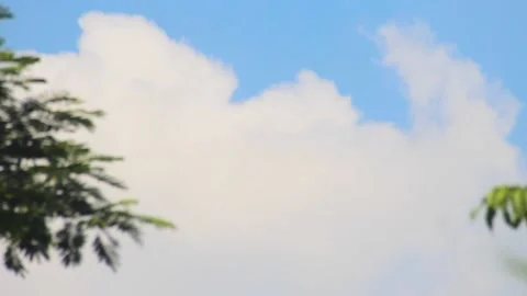 Bright Blue Sky With White Clouds Covering Part Of The Sky Stock Footage 238794812