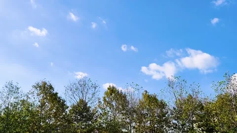 Bright Blue Sky with White Clouds Above Green Treetops - Copy Space Backgrou Stock Footage 326367978