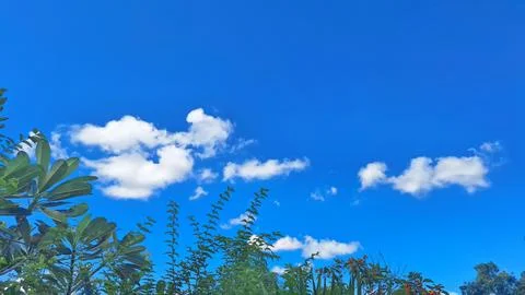 Bright Blue Sky with White Clouds and Green Leaves on Sunny Day Stock Photos