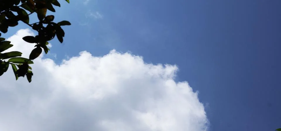Bright blue sky with white clouds and tree leaves with copy space Stock Photos