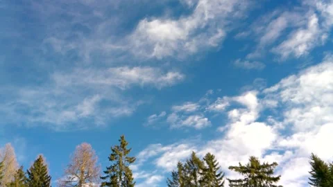 Bright blue sky white loose clouds scattered throughout the sky and the tips Stock Footage 256794028