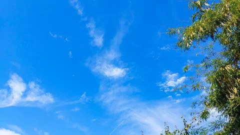 Bright blue sky with wispy white clouds and tree branches on the side Stock Photos