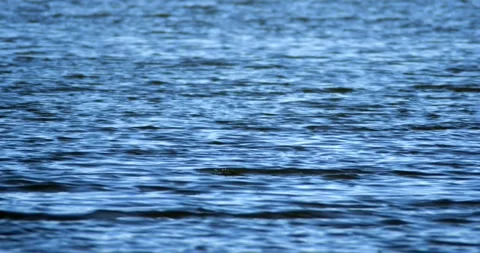 Bright blue waves ripple on small lake Stock-Footage 158402306