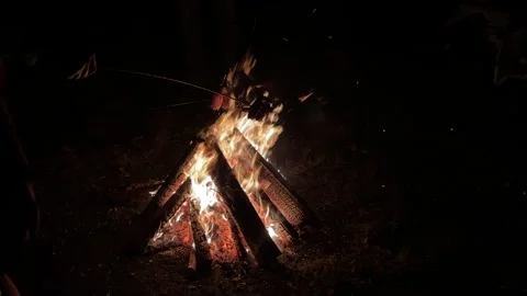 Bright Bonfire Burning in the Dark Stock Footage 291882386