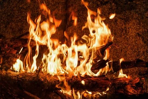 Bright bonfire. Stock Photos
