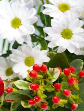 Bright bouquet with chamomiles Stock Photos