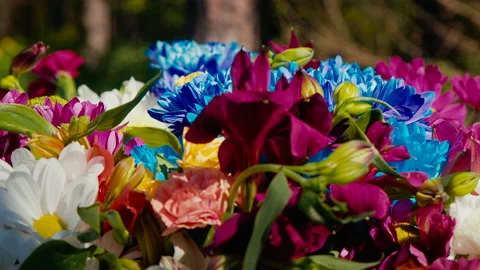 Bright Bouquet Of Multi Colored Flowers Stock Footage 155440941