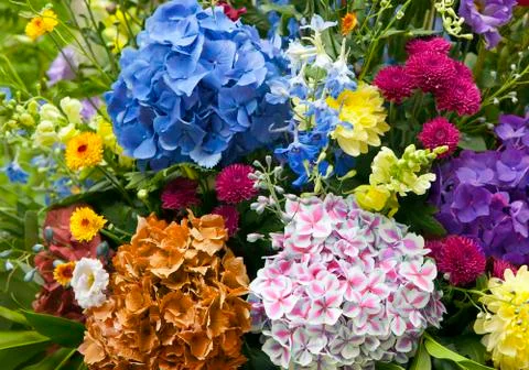 Bright bouquet Stock Photos