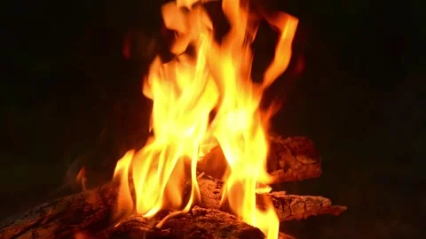 Bright burning bonfire flames closeup wood fire background Stock Footage 341878243