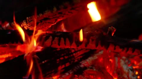 Bright burning bonfire flames closeup wood fire background Video stock 341878603