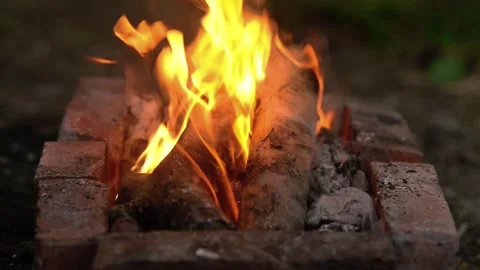Bright burning campfire flames between bricks outdoor fire pit background Stock Footage 341878220