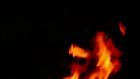 Bright burning campfire flames isolated on black background video sound Video stock 341878236
