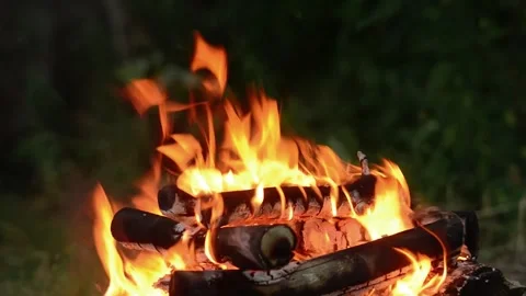 Bright burning campfire flames wood fire logs outdoor background footage Stock Footage 341878233
