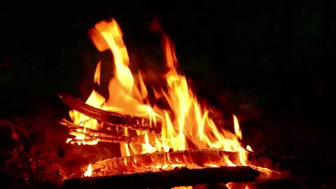 Bright burning campfire flames wood fire background video sound audio Video stock 341878496