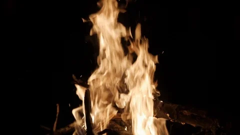 Bright burning fire in the forest. Stock Footage 112086804