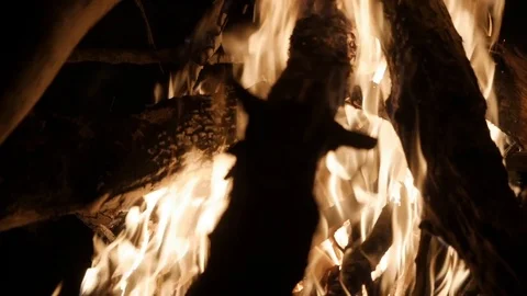 Bright burning fire in the forest. Video stock 112376058
