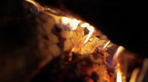 Bright burning wood, campfire macro video Stock Footage 46370236
