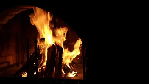 Bright burning wood, campfire macro video Stock Footage 69077682