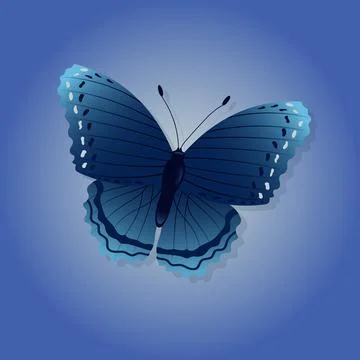 Bright butterfly on a colored background Stock Illustration