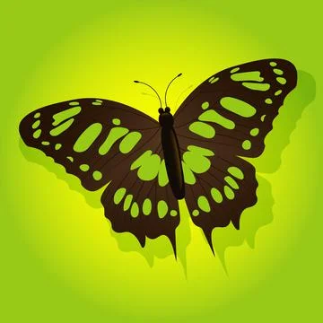 Bright butterfly on a colored background Stock Illustration