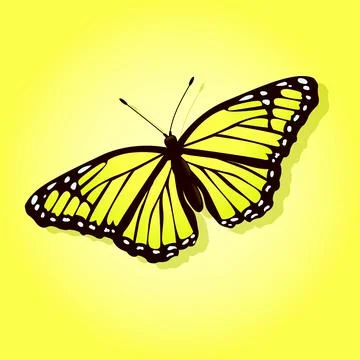 Bright butterfly on a colored background Stock Illustration