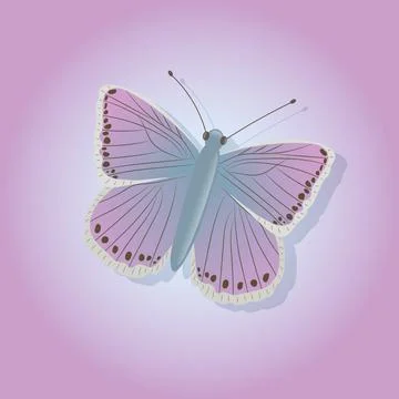 Bright butterfly on a colored background Stock Illustration