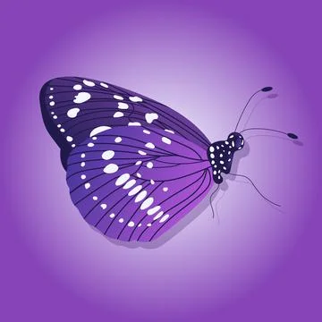 Bright butterfly on a colored background Stock Illustration