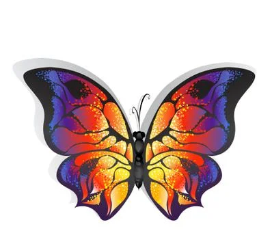 Bright butterfly Stock Illustration
