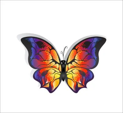 Bright Butterfly Stock Illustration