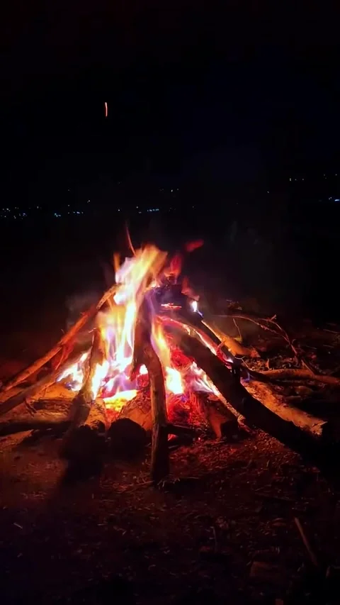 Bright Campfire Burning in the Dark Night Outdoors 库存影片 341318735