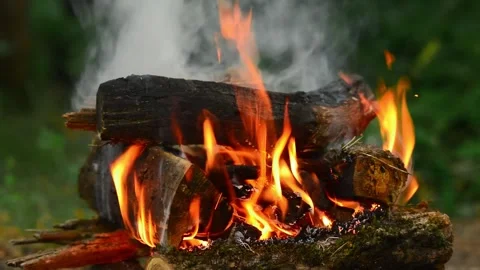 Bright Campfire Burning with Flames and Smoke in Forest Video stock 341980568