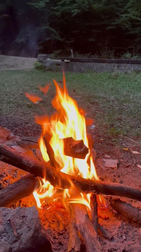 Bright Campfire Burning in a Forest Clearing Stock Footage 345023118