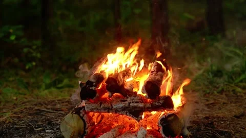 Bright campfire burning in the forest during evening with flickering flames Stock Footage 341682466