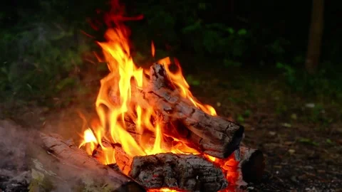 Bright campfire burning in the forest during evening with flickering flames Video stock 341682560